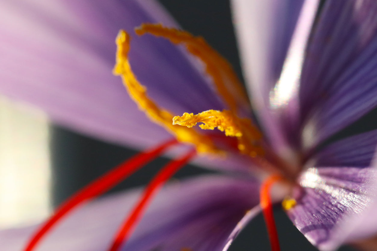 SuperFlower: Saffron