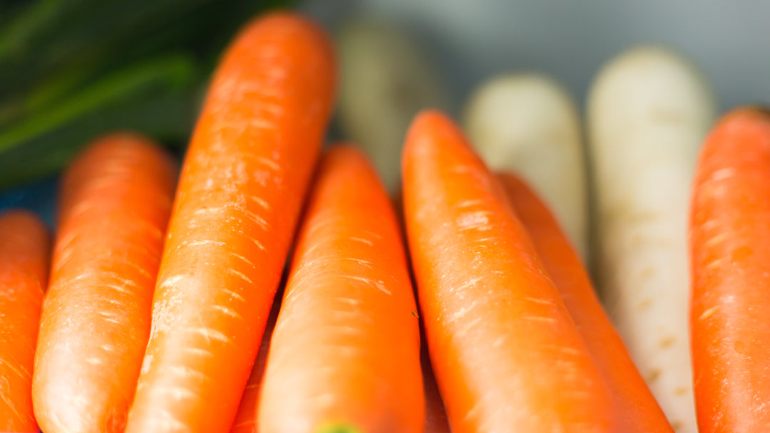 Daucus Carota Root Extract