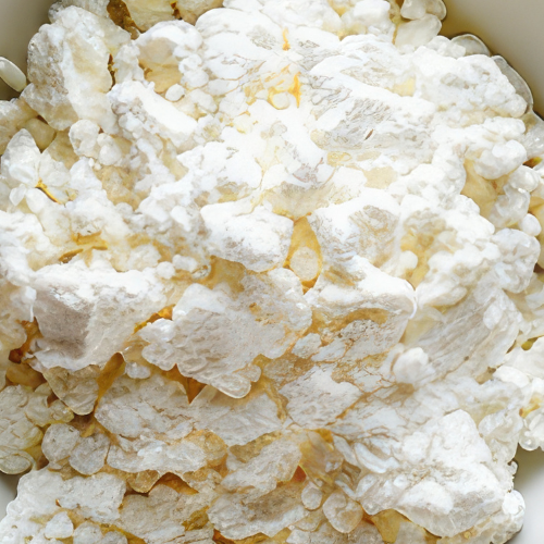 Lactobacillus Ferment