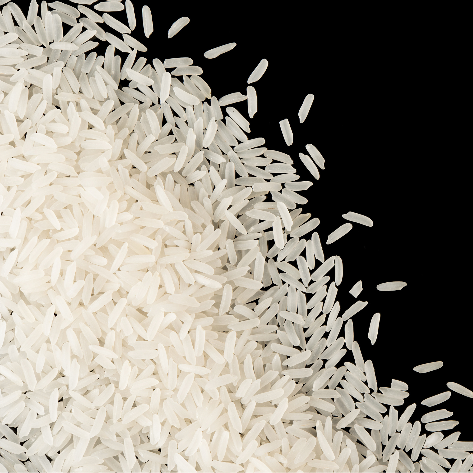 Rice Extract