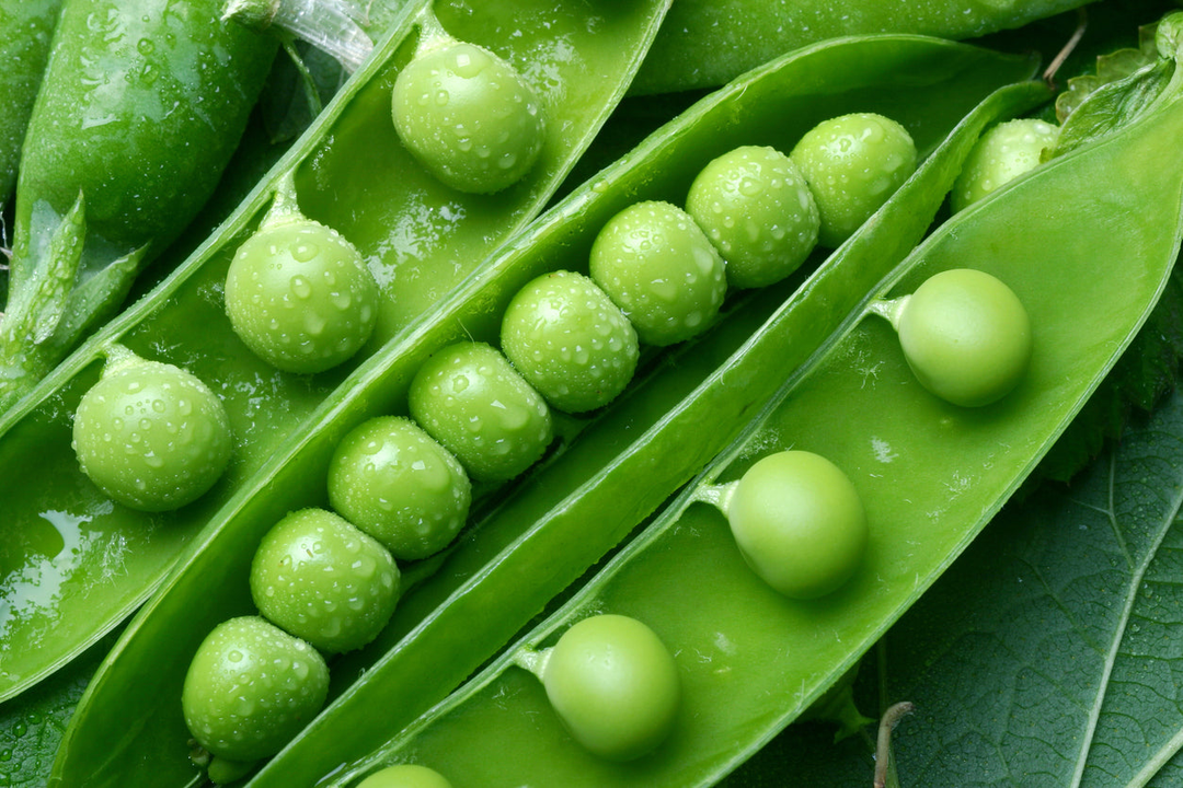 Green Pea Peptide