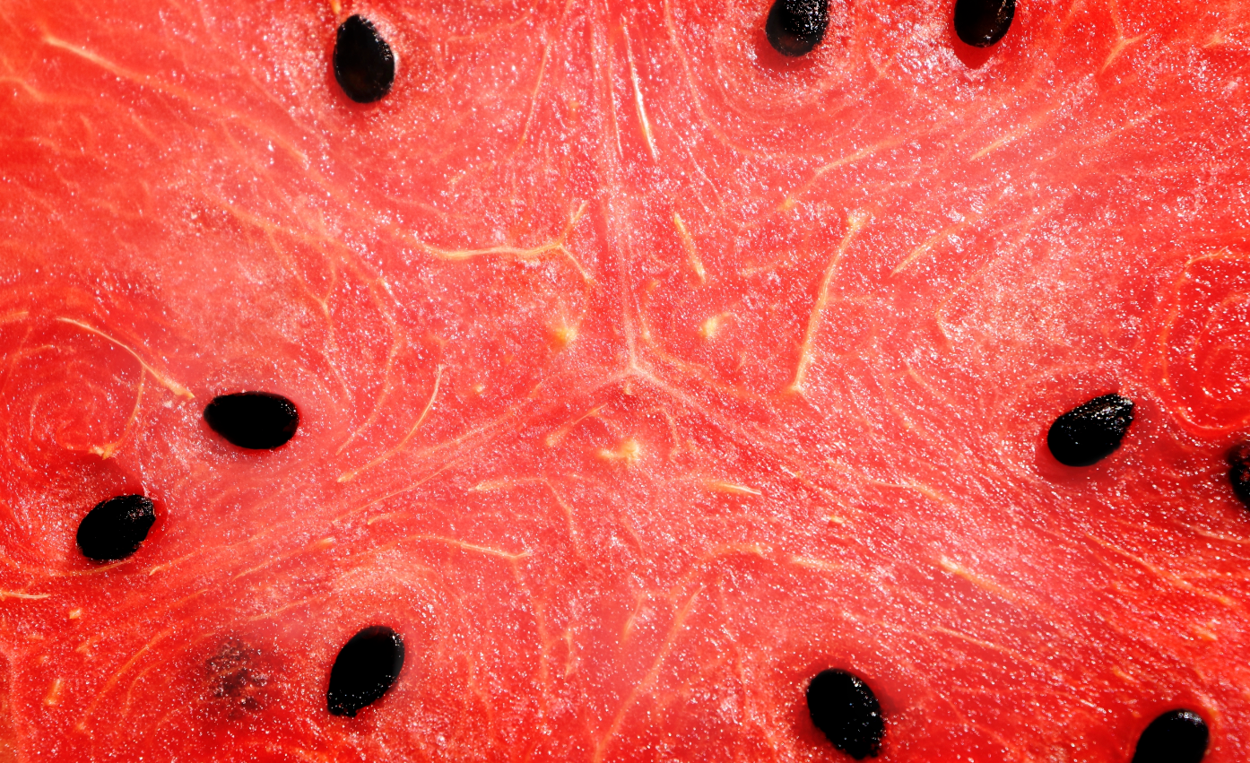 Watermelon Fruit Extract and Seed Oil