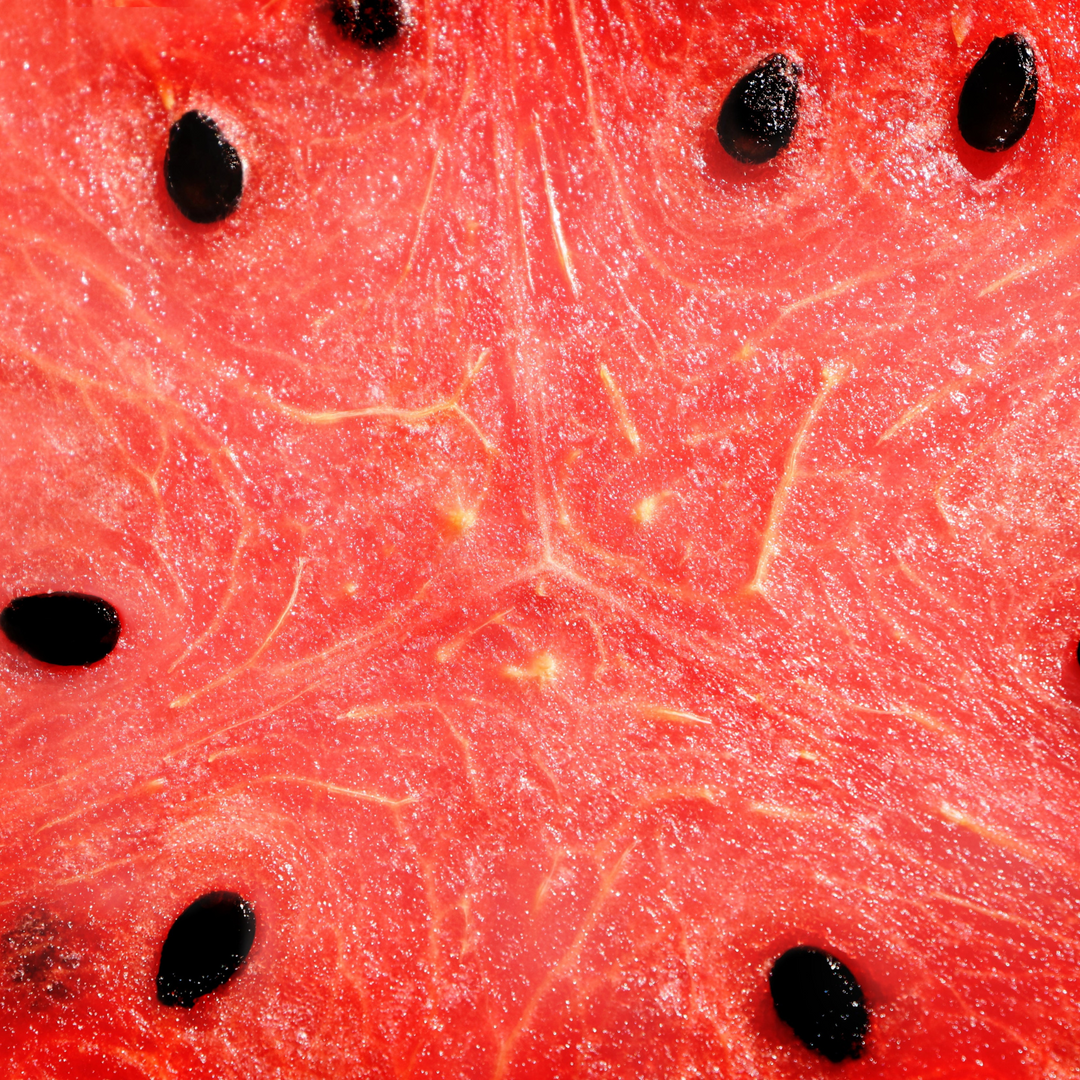 Watermelon Extract
