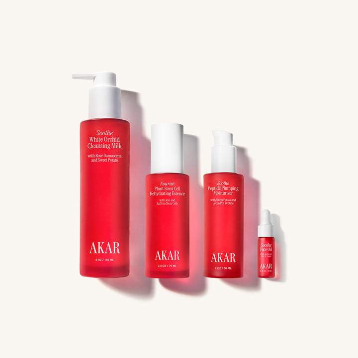 Planting the Seed Starter Kit