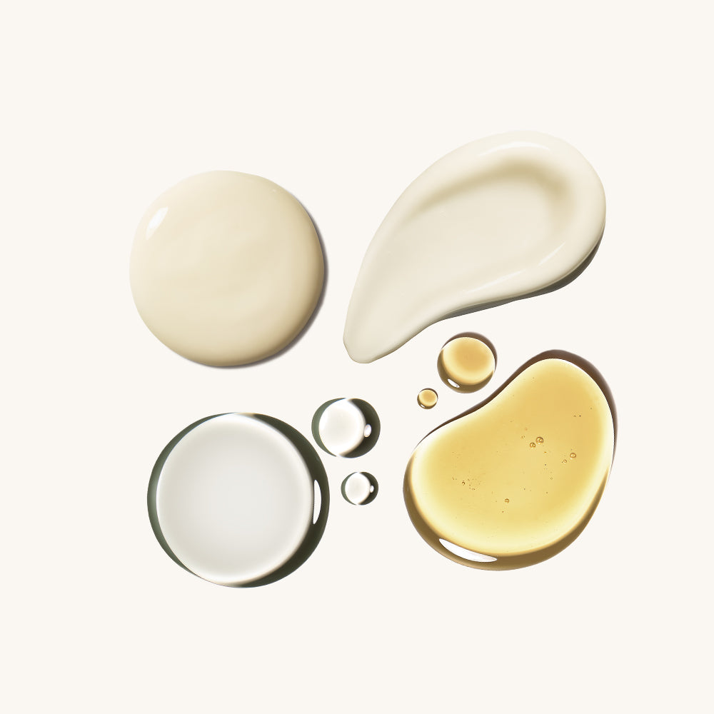 Planting the Seed Starter Kit