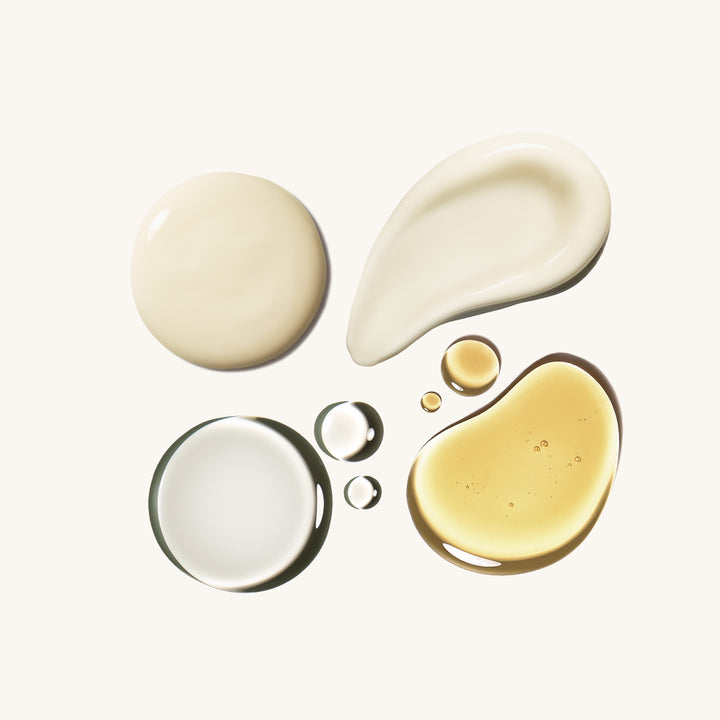 Planting the Seed Starter Kit